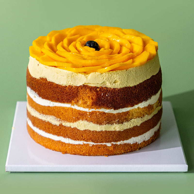 Mango Mousse Cake