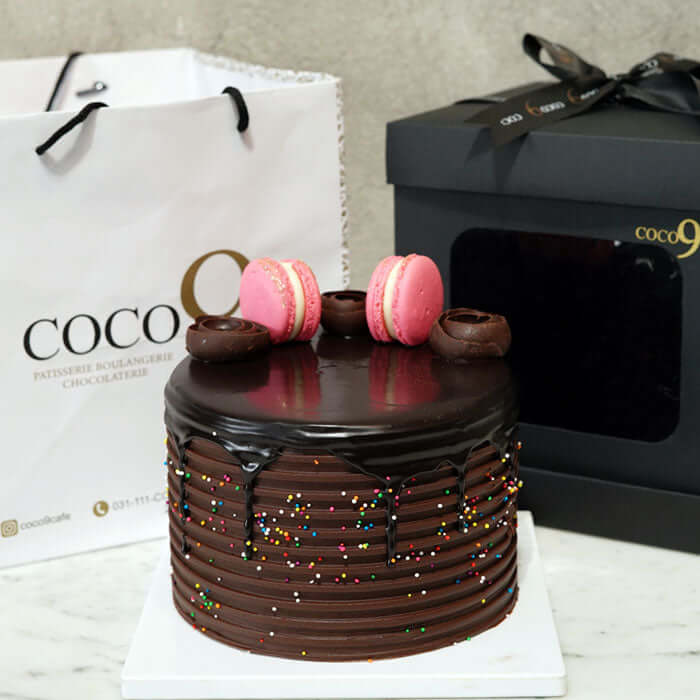 Chocolate Rainbow 6in (2.5-3lbs)