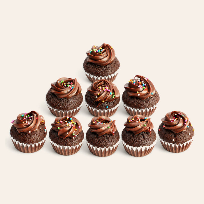 Mini Cupcake Box