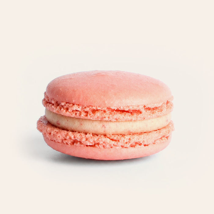 Strawberry Macaron (Single)