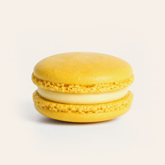 Lemon Macaron (Single)