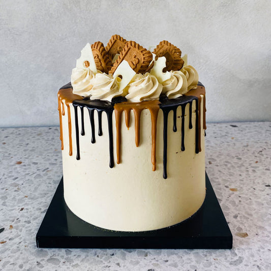 Chocolate Lotus 6in (2.5-3lbs)