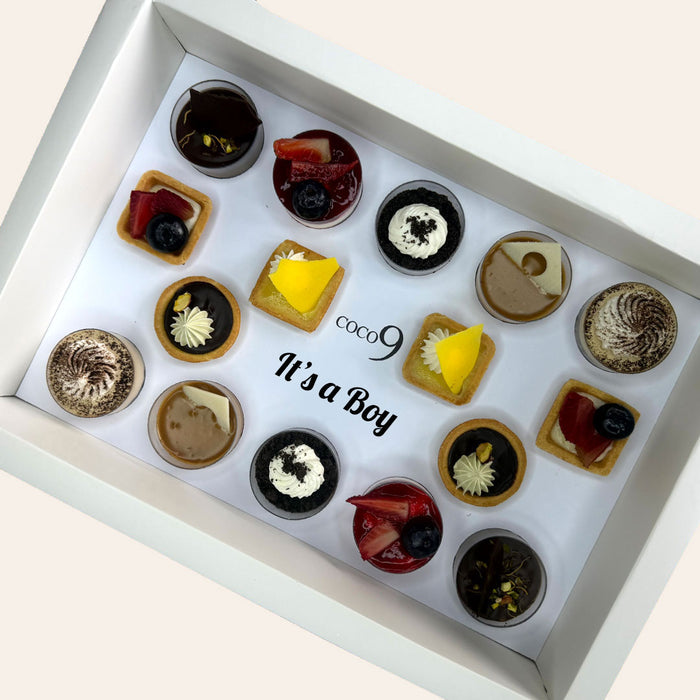 The Bite-Size Box V2 — Baby Boy Edition